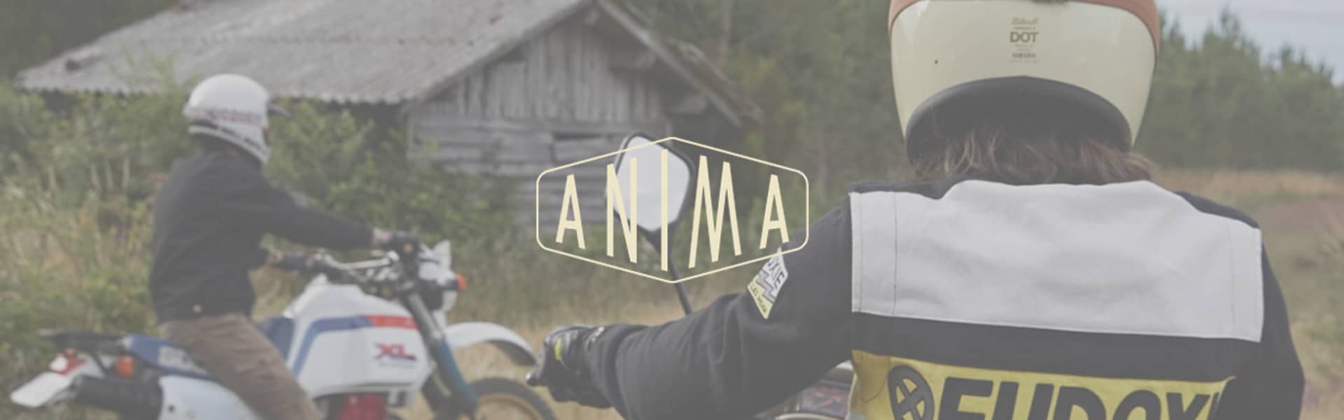 Anima X Agence Dewey