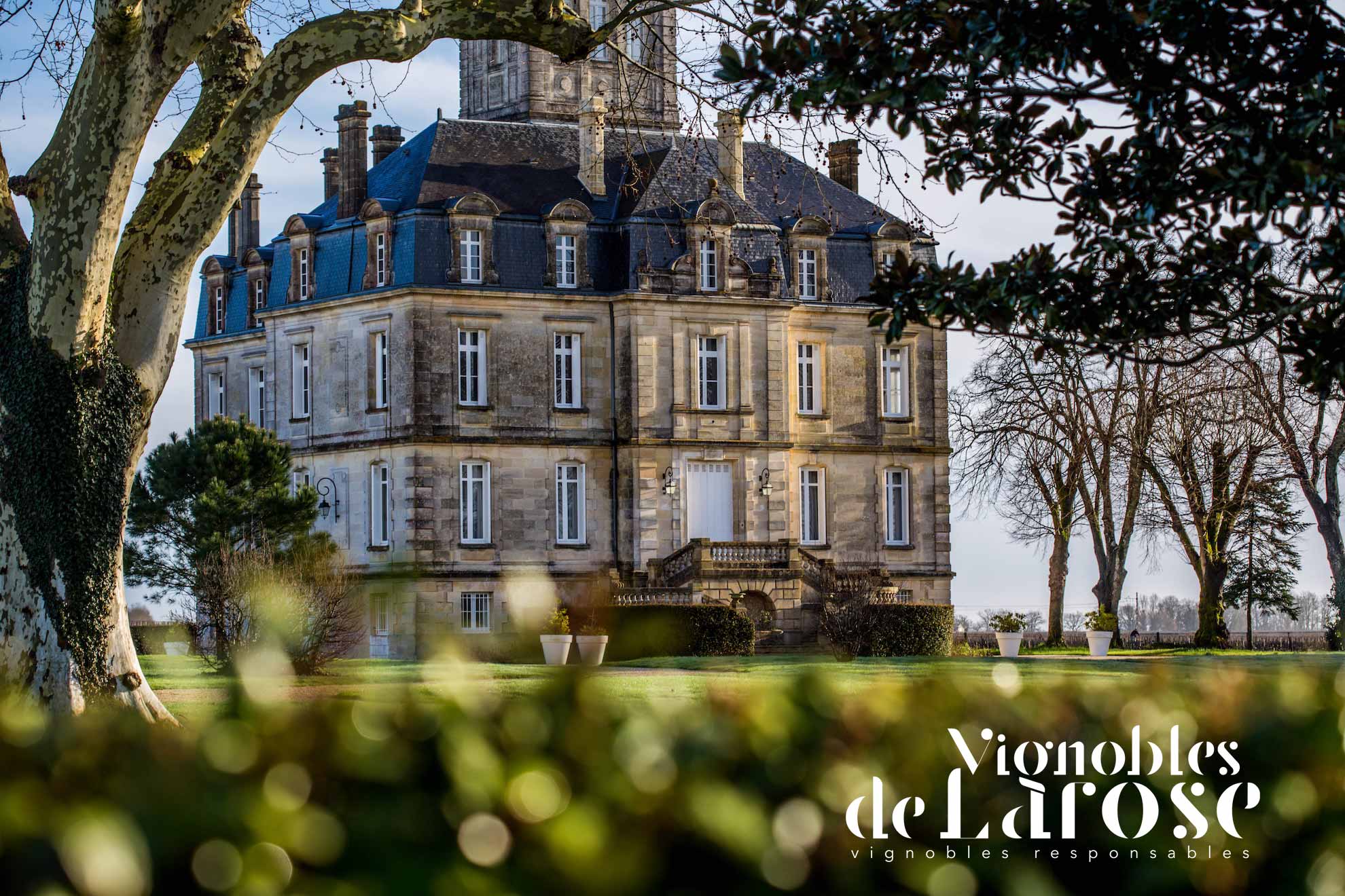 Vignobles de Larose Partenaire Agence Dewey